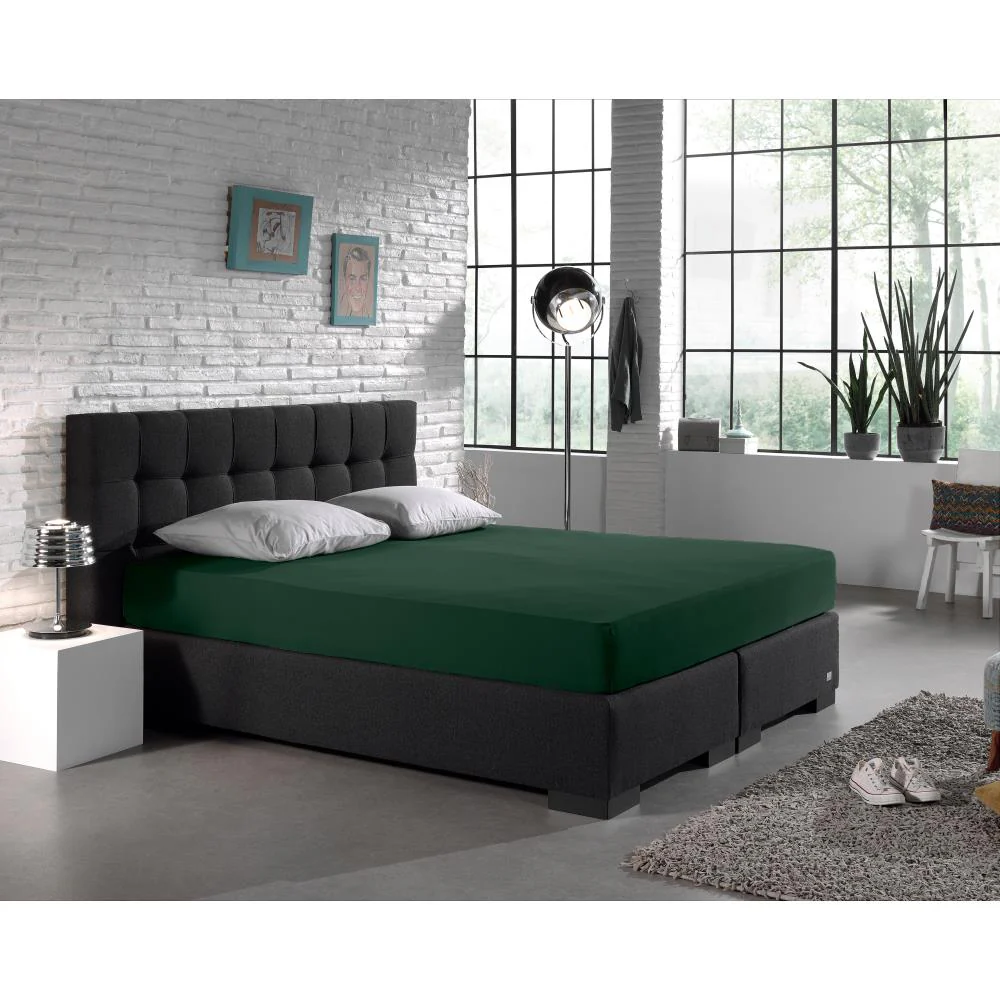 Drap-housse Simple Jersey Vert Botanique