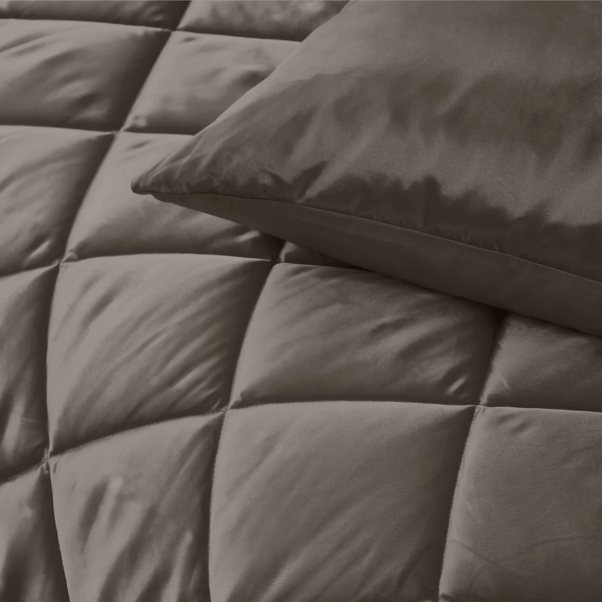 Zelesta Beautybed - Anthracite Étonnant - Image 12