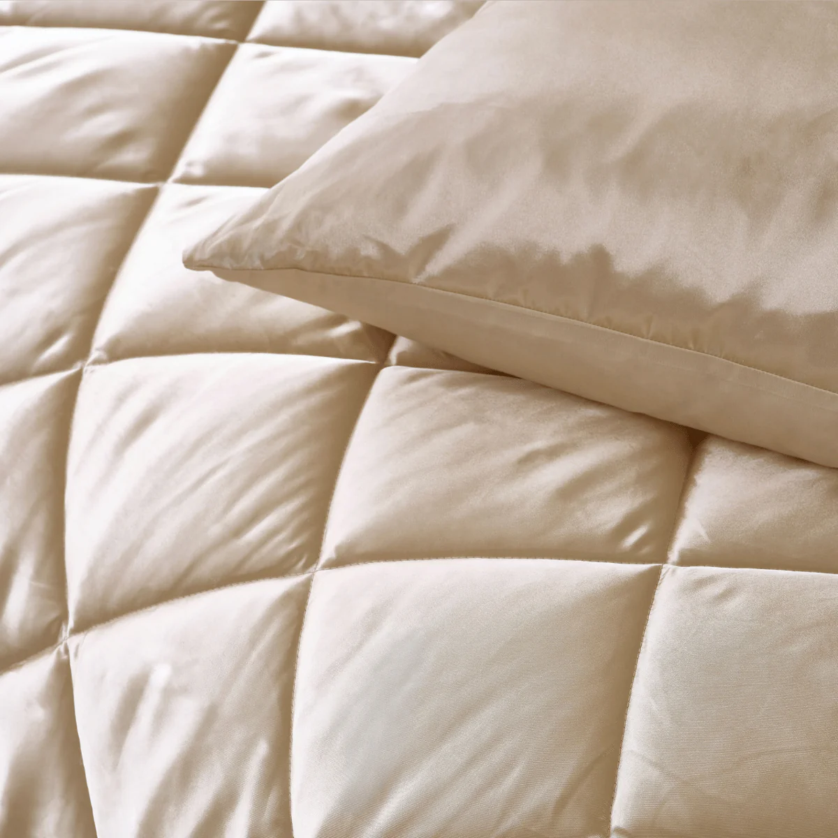 Zelesta Beautybed - Rêves de Champagne - Image 12