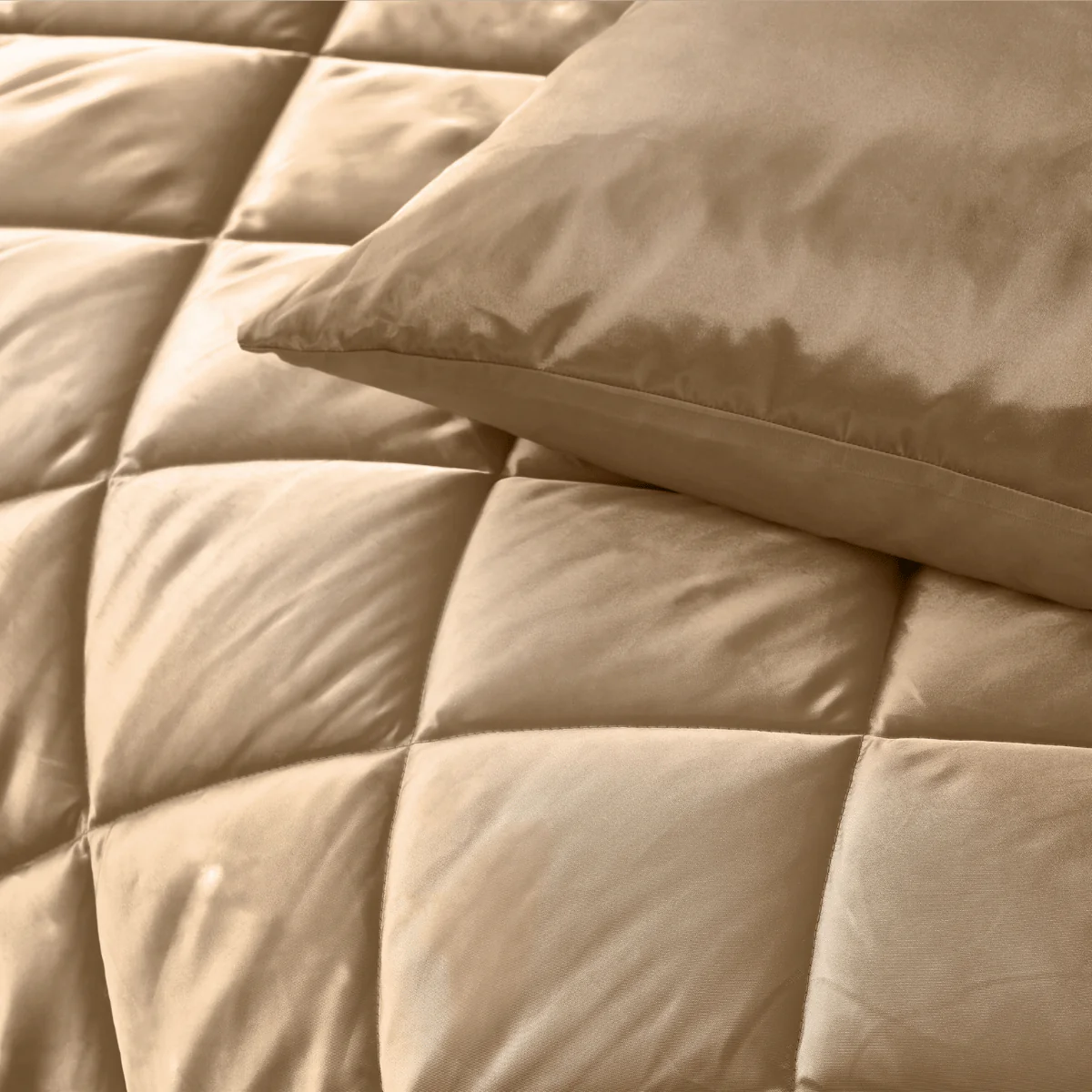 Zelesta Beautybed - Taupe Tropical - Image 12