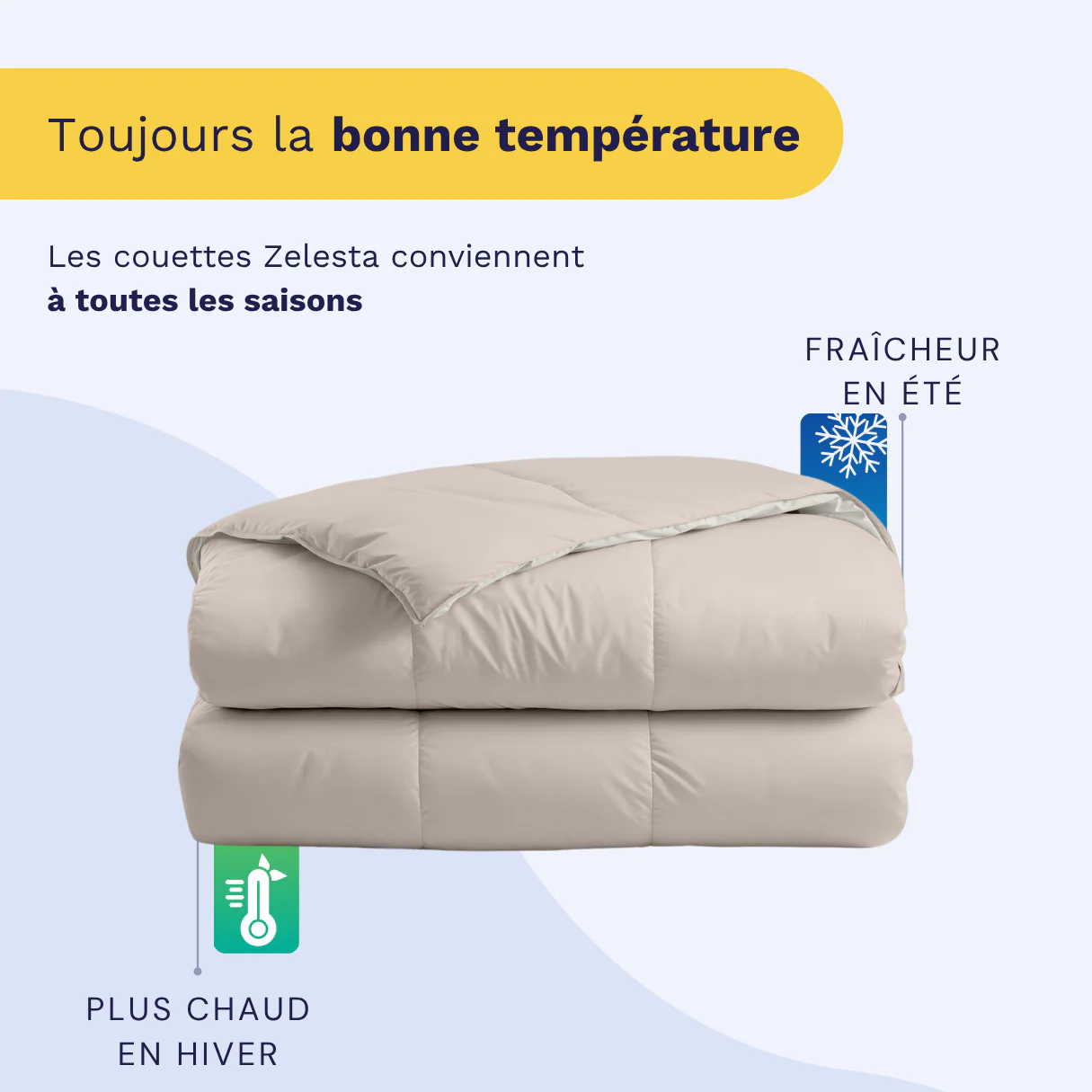 Zelesta Deluxe Duo Couette Été Coton Percale - Soie & Crème de Noix de Coco - Image 4