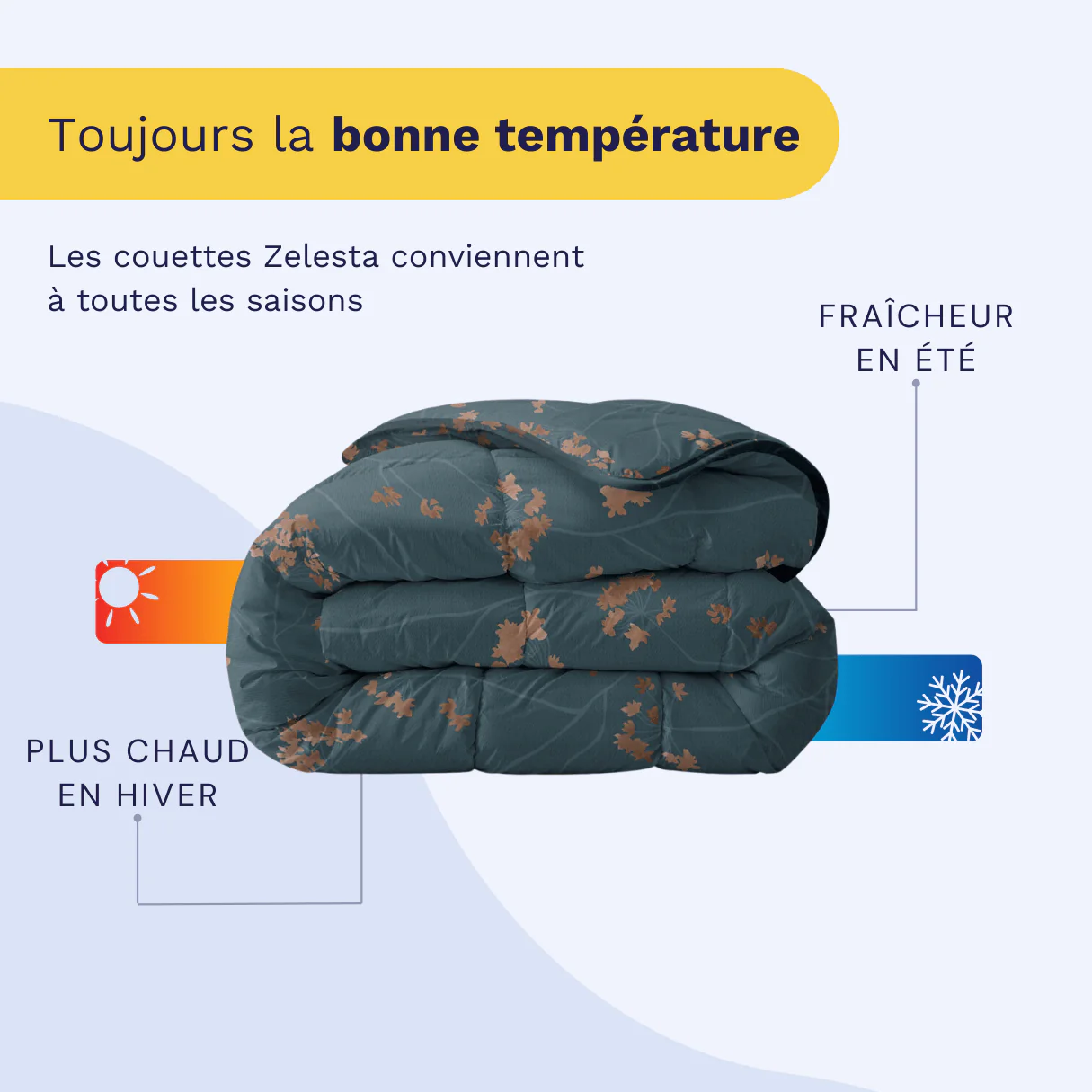 Zelesta Everyday Design Couette - Majestic - Image 4