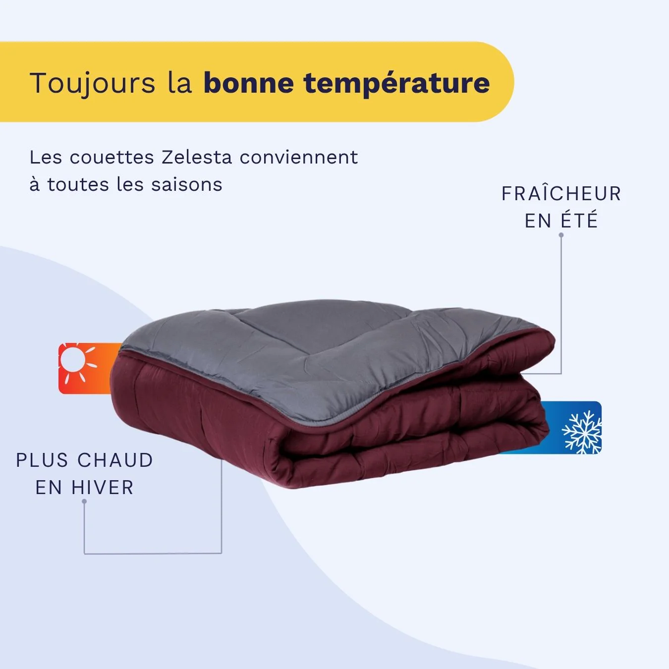 Zelesta Everyday Duo Couette - Violet & Anthracite - Image 4