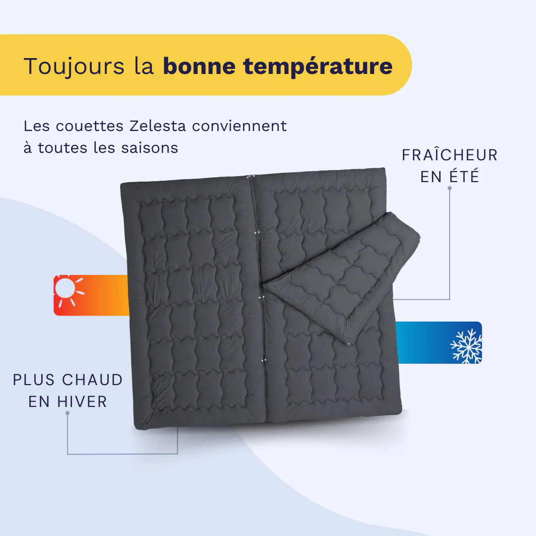 Zelesta Flexibed - Anthracite - Image 4