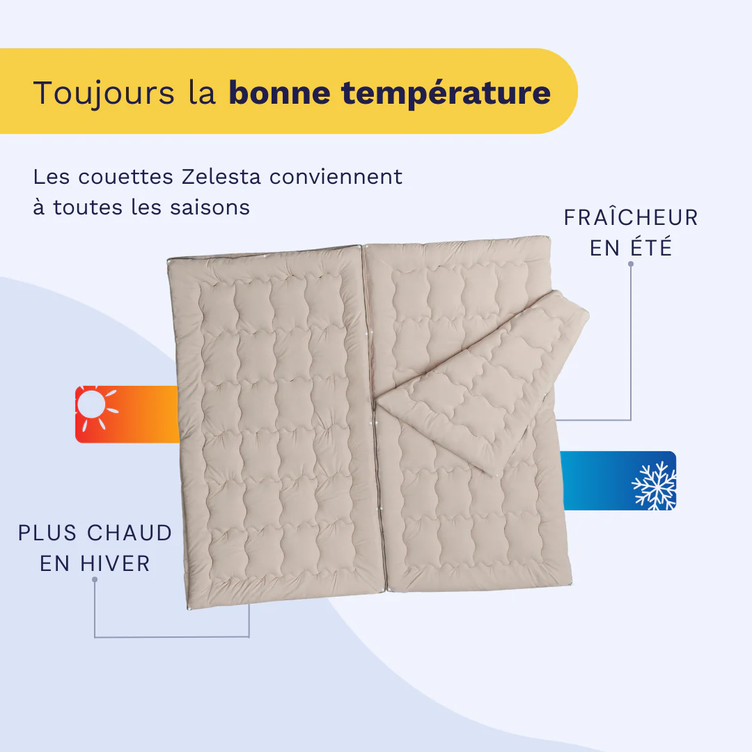 Zelesta Flexibed - Taupe - Image 4