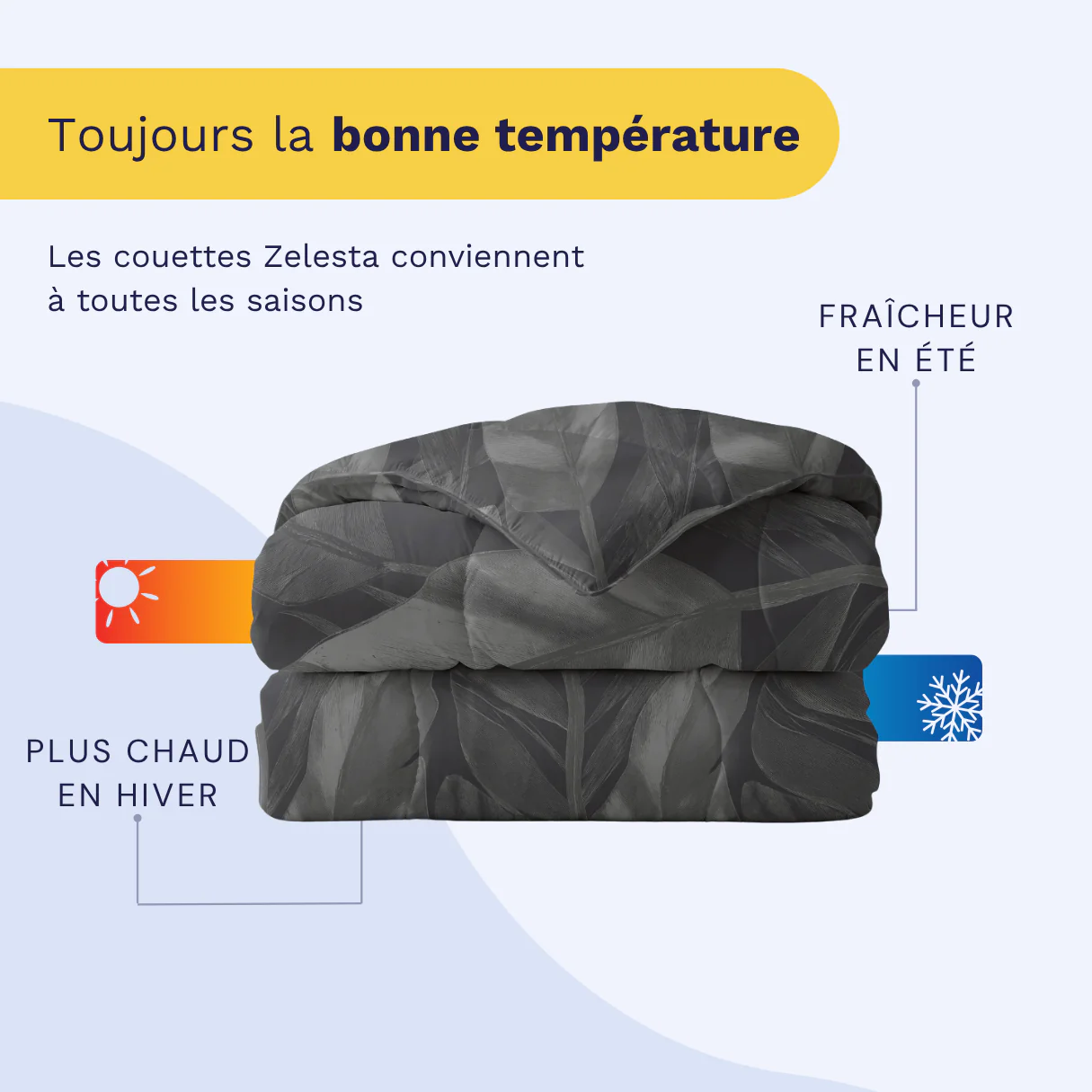 Zelesta Pure Design Couette Coton - Cygne Noir - Image 4