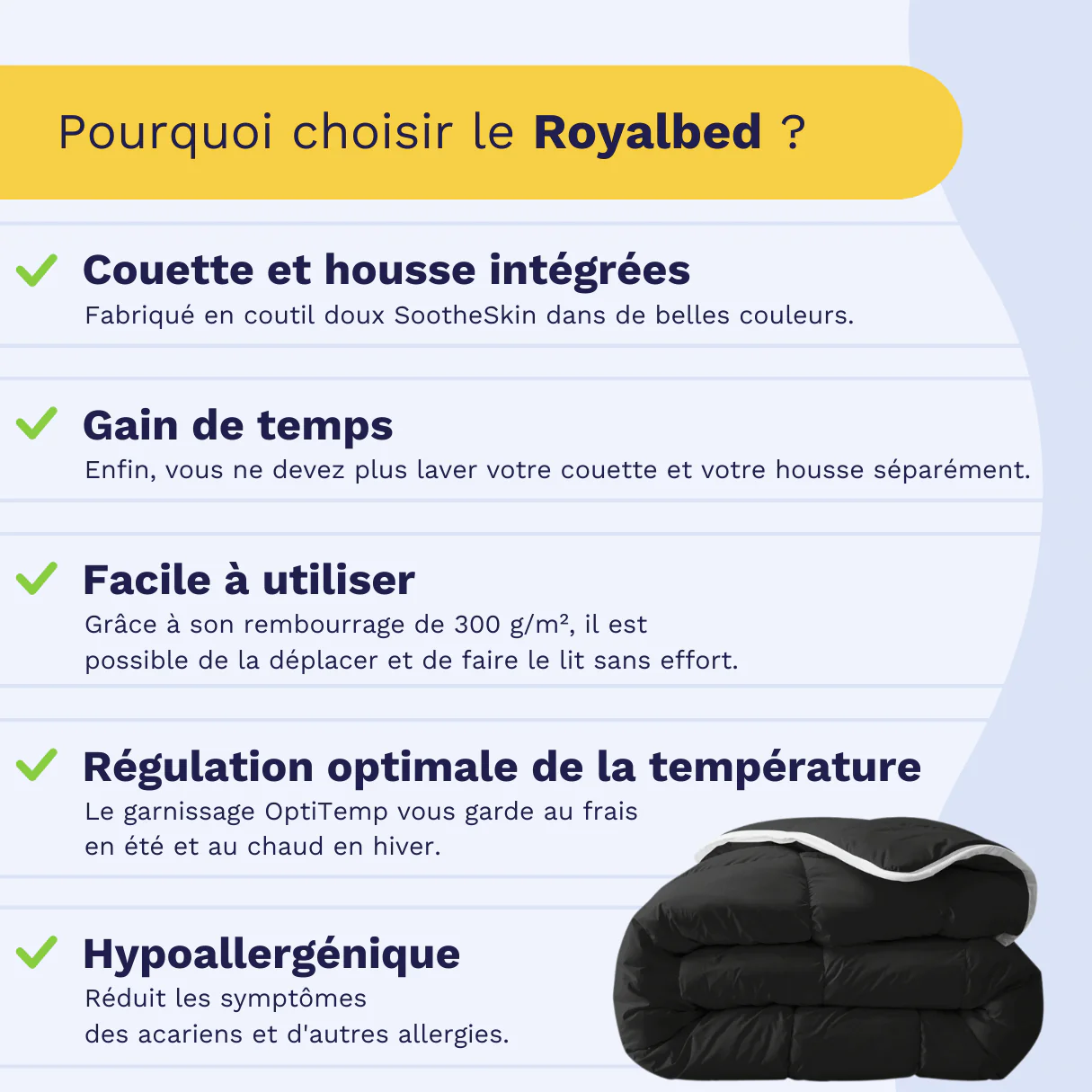 Zelesta Royalbed - Noir & Anthracite - Image 4