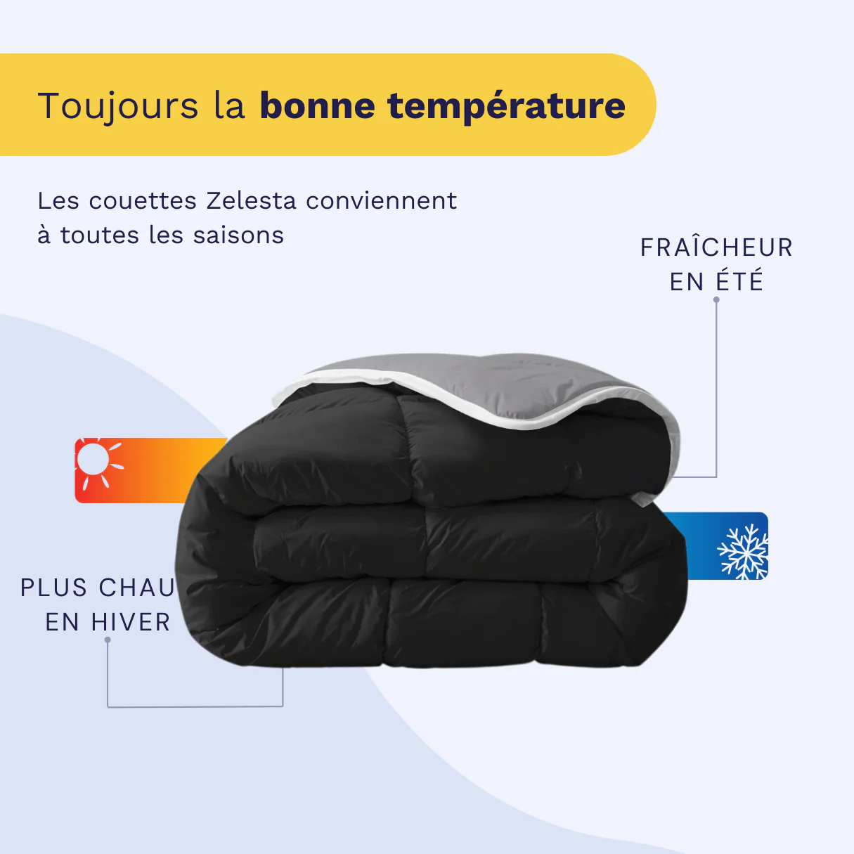 Zelesta Royalbed - Noir & Anthracite - Image 5