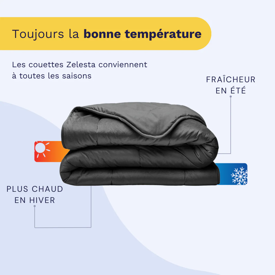 Zelesta Velvetbed - Anthracite - Image 5