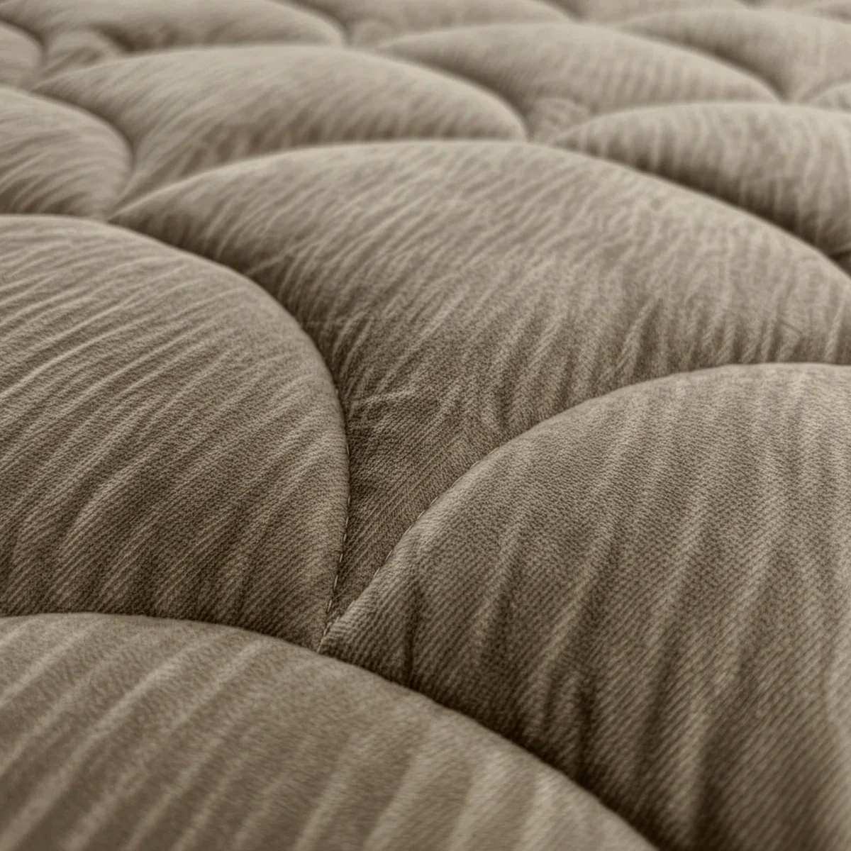 Zelesta Velvetbed Chic - Taupe - Image 5