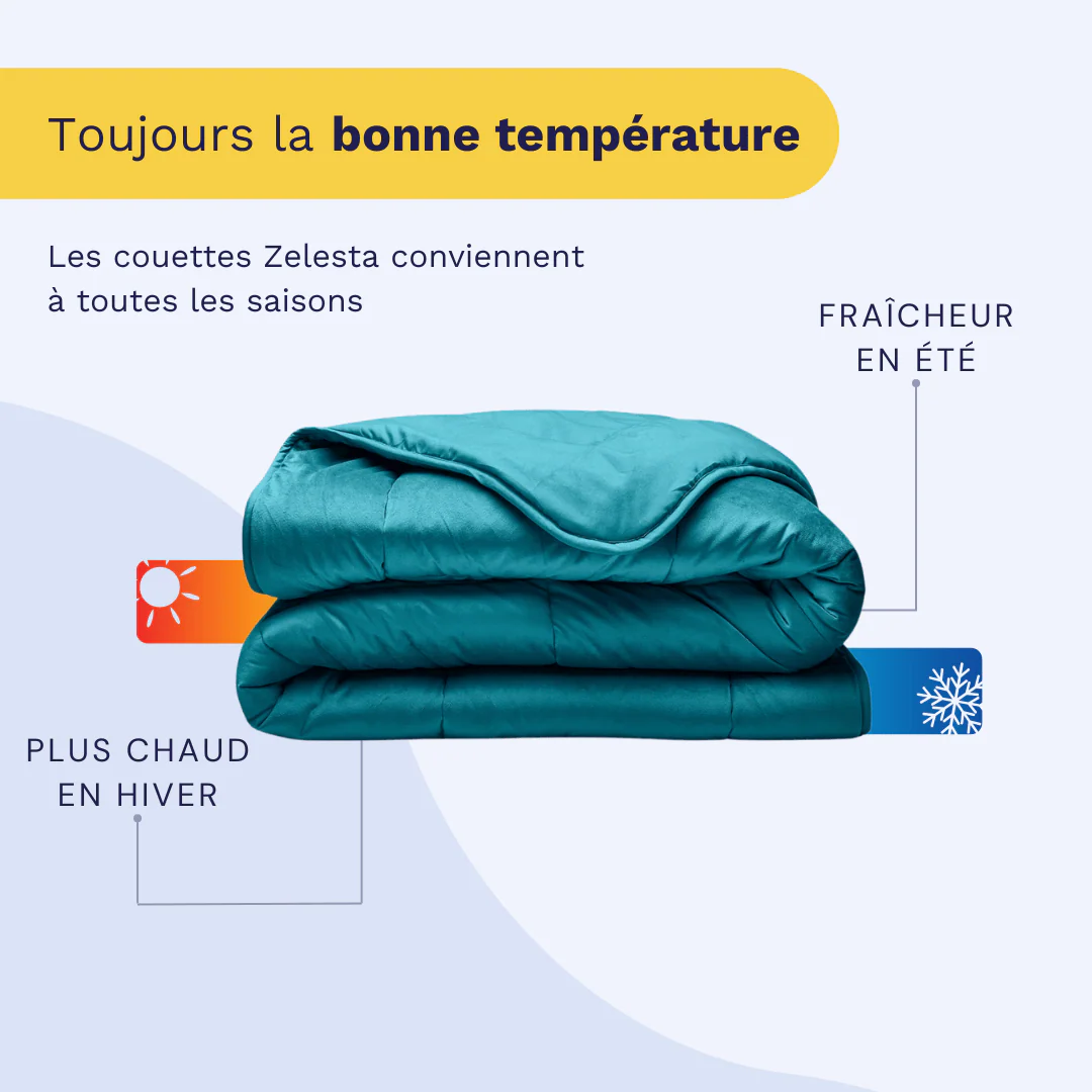 Zelesta Velvetbed - Essence - Image 5