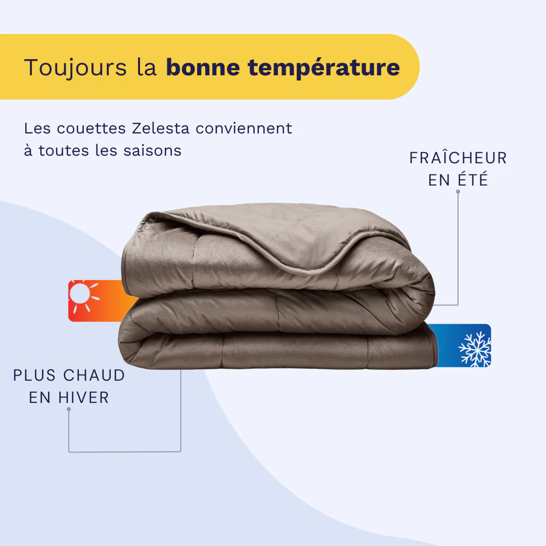 Zelesta Velvetbed - Taupe - Image 6